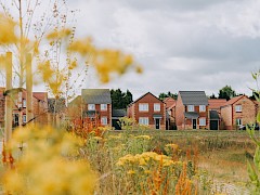 Images are used for illustrative purposes only and may include optional upgrades at additional cost.