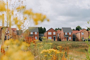 Images are used for illustrative purposes only and may include optional upgrades at additional cost.